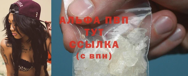 мяу мяу мука Гусев